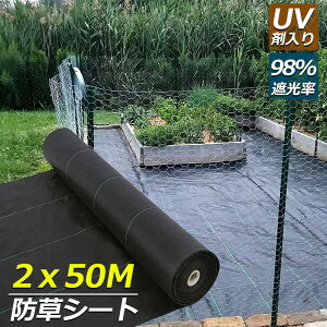 hV[g 50m X 2m V[g |pV[g GV[g UVܓ  _ ƒp |p  Gʐ  Y K[fjO ԏ ƒ؉ ϋvN3N lH G Ő DIY  