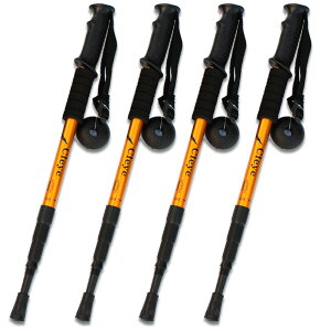 |Cg5{ }\Z[gbLO|[ 4{Zbg y oRpXgbN EH[LO|[ oR A~ I^ Lk  RpNg oR ~ oR nCLO EH