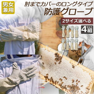 {Ip hO[u Ɨp _炩rv 4gZbg K[fjOO[u  v | t[TCY OO[u I Ȋ 쏜 Q쏜  Ɨp jp 悯 