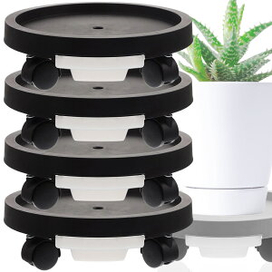 LX^[tAؔ Aؔ v^[ 3J[ t[X^h LX^[  u O g[ | ړ  