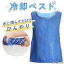 冷却ベスト クールベスト 冷感ベスト 冷却 熱中症 猛暑対策 冷却服 ひんやりグッズ 工事現場 工場内 屋外 スポーツ 冷…