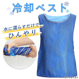 冷却ベスト クールベスト 冷感ベスト 冷却 熱中症 猛暑対策 冷却服 ひんやりグッズ 工事現場 工場内 屋外 スポーツ 冷感 涼しい 保冷服 農業 屋外作業 釣り 暑さ対策 夏 水冷 空調服 物理冷却 保冷 夏用 ジャケット リバーシブル メッシュ 濡らすだけ アウトドア