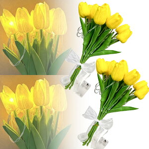 Ԍ!|Cg5{10{`[bv t[Cg 3FIׂ  LED CeA Cg ԑ  t[ [Cg u[P u[PCg uU[ht[ uU[uht