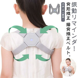 Lwxg pT|[^[ w؃xg lC Y p qp pxݒ ɂ݂Ȃ ӎ{ ȒP