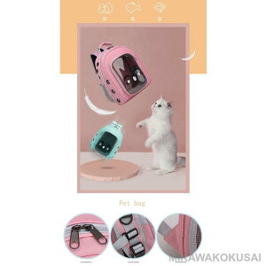 L L[obO Lp FDJvZ^ bNTbN  o ʋC e ϋv S ܂肽