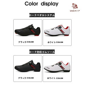 TCNV[Y jp ]ԃV[Y Jt }`J[_C CgEFCg TCNOV[Y [hoCNV[Y ]ԌC ̓