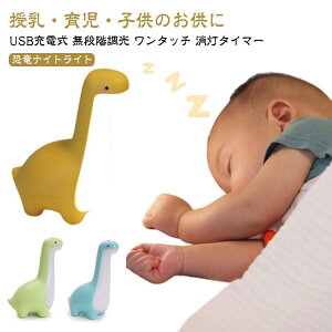 Cg VRCg 킢 [d USB Cg iK   LED q Cg R[hX Type-C ԐڏƖ q ԐڏƖ 铔