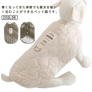  g xXg n[lX {A ȓ LeBO n  h hbOEFA H~ m ybg   AE^[ 