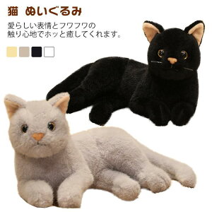 L ʂ A L̂ʂ ˂ 킢 { {݂ ₵L AȔL̂ʂ L  q l N