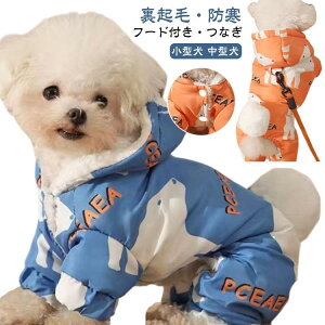 pm h NуWPbg  Ȃ t[ht DJt hbOEFA ̕ ybg   ybgEFA  H~ ^ 