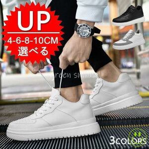 6cm/8cm/10cmgAbv jp y V[NbgV[Y Xj[J[ ʋC nCJbgXj[J[ wȂC Y ̓Mtg  gAbv10cm 10cmUP wȂ Xj[J[ J