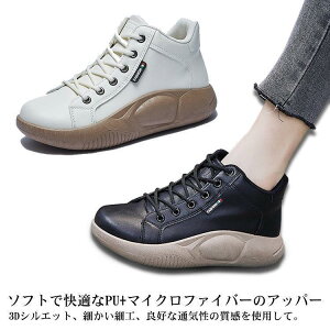 O Xj[J[ ꂸ  Xj[J[  RtH[gV[Y C nCJbgXj[J[  V[Y Xj[J[