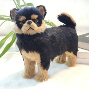  ʂ [NV[eA [NV[eA  tBMA ʂ ͌^ V~[V ybg ۂႢ ʂ