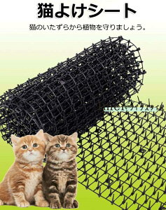 L悯V[g L Œpst _V[g 45cm 2m ߃V[g L悯ObY L悯΍ ˂悯 lR悯}bg ObY gQgQ ǔL΍ QbN  v^[