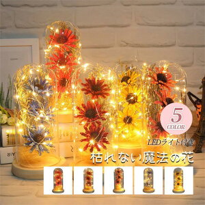 vU[uht[   ԑ ͂Ȃ LEDCg o^C zCgf[ ̓ w  LO Mtg v[g