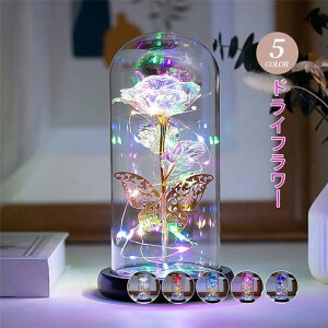 vU[uht[ o bL[Y o^C ̓  ͂Ȃ t[ hCt[ Cgt KN ԑ v[g