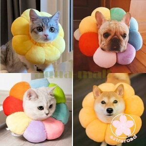 GUxXJ[ L   GUxX TCY߉ z ӂӂ NbV  \tg h[ic ی^ lR ˂ Ck  ybgpi