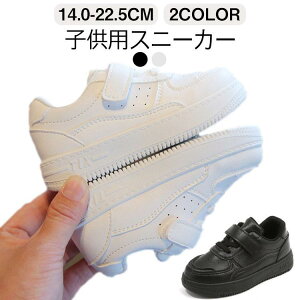 Xj[J[ h ʊw fB[X Y LbY  zCg  ubN h C L CY 3E y y ʊw wZ ^ wC  w w Z X|[c JWA V[