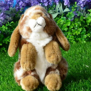  eD D oj[ A ETM   ӂӂ { 炩  G tt  CeA LbY oYj a NX}X