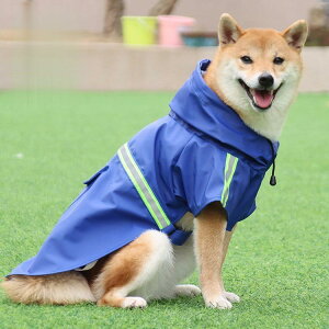 p CR[g  ^ ^  J ~J΍ pH WvX[c ybgp hbOEGA h h~ y h p[R[g|` JU o