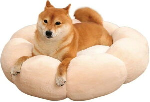 ybg xbh  NbV h[ic  ӂӂ  Ԍ^ g Eh ӂӂ Q ې􂢉 ^ L p ~ h \t@ ybgpi H ~