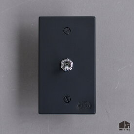 トグルスイッチA（1口長方形型）マット色 黒/白/グレー（艶消し）3路式（片切対応）鉄製 アイアン スイッチプレート 照明器具 リビング 玄関 トイレ おしゃれ かっこいい インダストリアル レトロフューチャー 日本製