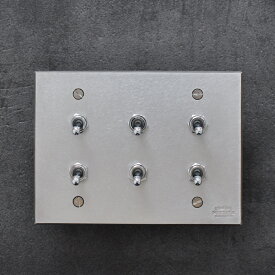 ステンレス製トグルスイッチL（6口2列型）シルバー マット仕上げ 3路式（片切対応） スイッチプレート 照明器具 リビング 玄関 トイレ おしゃれ かっこいい 錆びにくいインダストリアル レトロフューチャー 日本製 国産 メーカー直販