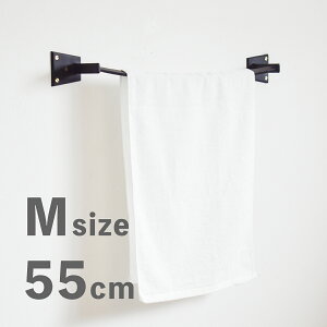 y/Beiz|`nK[ M matte & goldACA _ { W550mm ^InK[ ^Iz_[ ACAo[  ʏ Lb` gC oX[ zeCN AeB[