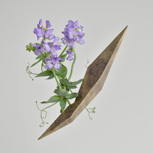 nMOx[X ڒbԊ XeX ԊfBXvCǊ|  ֑} Mtg v[g j 蕨 ̓ NX}X zCgf[ JXj COoWi