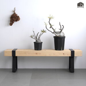 Sуx` rACA ubN3l| 150cm_CjO K[fJɋ Ȃ 䍑Y { O ֞w qmL VR؃CeA ԑ x` `FA ֎q