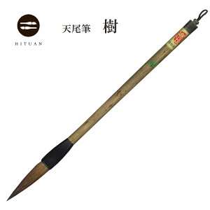  yzyV  s i  M   a  `H| M Ђ ӂł z