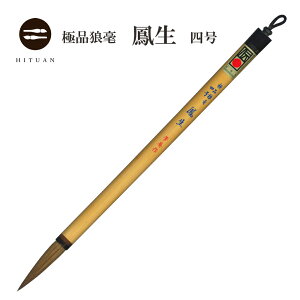 ɕiT|@P@ly ꌕM   䂤pPbg z