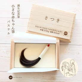 誕生記念筆　小さな赤ちゃん筆（パステル）　【 誕生記念 赤ちゃん 筆 ベビー 髪の毛 出産祝い 記念 メモリアル くせ毛 出産祝 カット うぶげ 胎毛 産毛 ファースト ヘアー 名入 保存 うぶ毛 保管 プレゼント 名前入 ベビー 桐箱 日本製 少ない毛 】