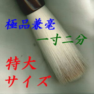 ɕi|12@yő勉|@ S  ptH[}Xz