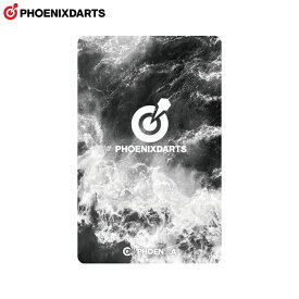 PHOENIX(フェニックス) PHOENicA CARD(フェニカカード) P2023026　(ダーツアクセサリ フェニックスカード)