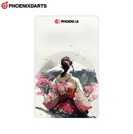PHOENIX(フェニックス) PHOENicA CARD(フェニカカード) P2026016　(ダーツアクセサリ フェニックスカード)
