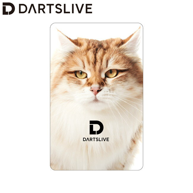 DARTSLIVE CARD #053 ＜07＞　(ダーツカード)