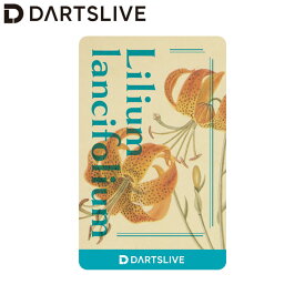 DARTSLIVE CARD #053 ＜10＞　(ダーツカード)