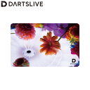 DARTSLIVE CARD #057 ＜14＞　(ダーツ カード)