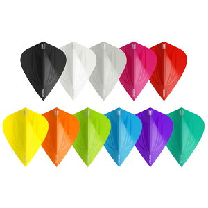 TARGET(�^�[�Q�b�g) ID PRO VISION ULTRA �t���C�g �J�C�g�@(�_�[�c �t���C�g �H darts flight)