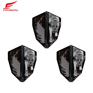 COSMO DARTS(�R�X���_�[�c) Fit Flight PRO(�t�B�b�g�t���C�g �v��) × Lukasz Waclawski ver.1 S-4 D�u���b�N ���J�X�E���N���X�L�I�胂�f���@(�_�[�c �t���C�g)