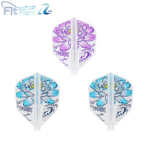 COSMO DARTS(RX_[c) Fit FlightyAIRz(tBbgtCg GA[) × c ver.2 VFCv NA cI胂f@(_[c tCg)