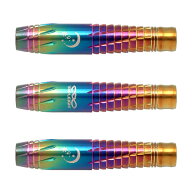 DYNASTY(ダイナスティー) TRIPLEIGHT charm(チャーム) Rainbow95 2BA 武山郁子選手モデル　 (ダーツ バレ…