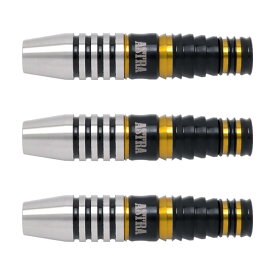 DYNASTY(ダイナスティー) TRIPLEIGHT ASTRA DARTS T-arrow5(ティーアロー5) 2BA 谷内太郎選手モデル(ダーツ バレル タングステン ダーツセット ダーツ シャフト ダーツ チップ ダーツ フライト ダーツ 矢 羽 darts barrel darts set)