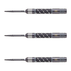 TARGET(^[Qbg) DIMITRI VAN DEN BERGH ECHO SWISS POINT STEEL 22g 190284 fB~gE@EfEo[OI胂f@(_[c o _[cZbg Xg[go ^OXe n[h_[c 