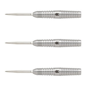 TARGET JAPAN(^[QbgWp) CRUX COURAGE(NbNX JbW) SWISS POINT STEEL 22g 190509@(_[c o _[cZbg)