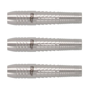 DMC(fB[GV[) Beyond(rh) 2BA OYMI胂f(_[c o ^OXe _[cZbg _[c Vtg _[c `bv _[c tCg _[c  H darts barrel darts set)