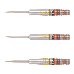 TRiNiDAD(�g���j�_�[�h) UNIFIED Roman Type6(���[�}�� �^�C�v6) STEEL �{�e���R�I�胂�f���@(�_�[�c �o���� �_�[�c�Z�b�g)