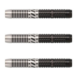 DYNASTY(_CiXeB[) A-FLOW BLACK LINE R[eBO^Cv ARCTIC ROAR(A[NeBbN A) 2BA nEEjI胂f@(_[c o _[cZbg ^OXe Xg[g _[co darts 