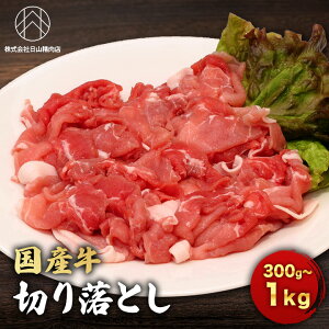 yƒpEƖpzY ؂藎Ƃ 300g/500g/1kg  XCX Y ؗ Ⓚ ^pbN Ԑg g ~bNX  ٓ Ⴊ uߕ Ăp Ԃԗp ƒp 